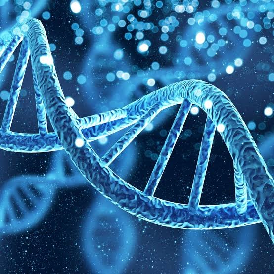 Ilustração de uma fita de DNA, representando o cálculo de risco para doenças genéticas